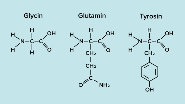 Glycin glutamin tyrosin
