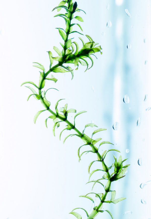 shutterstock 194896268